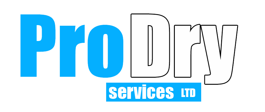 Pro Dry Services LTD Logo